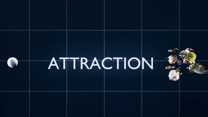 Geo-Fish Attraction